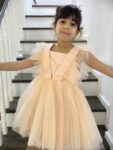 IMG_20241124_165338